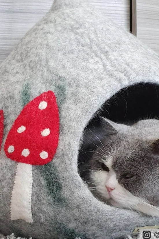 Felt Teardrop Mushroom Cave