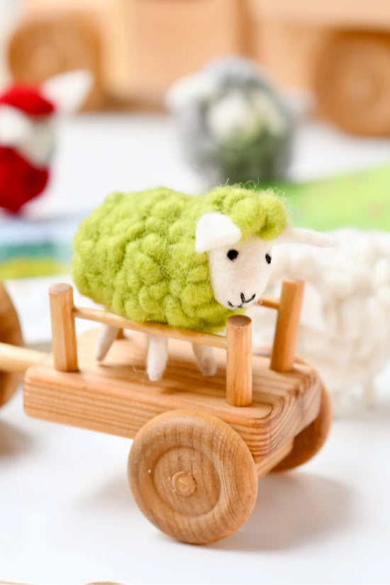 Green Wool Sheep