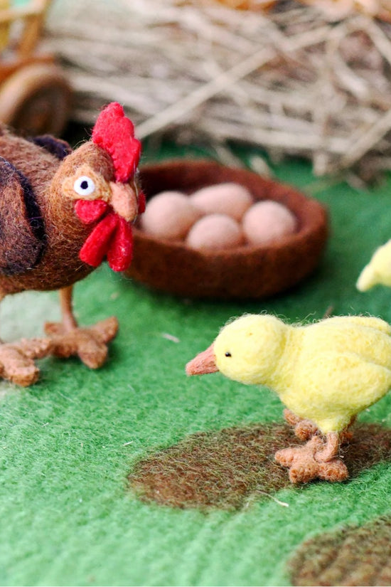 Handmade Felt Chicken Life Cycle
