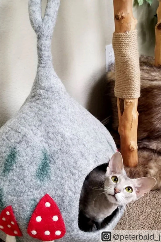 Whimsical Teardrop Mushroom Cave