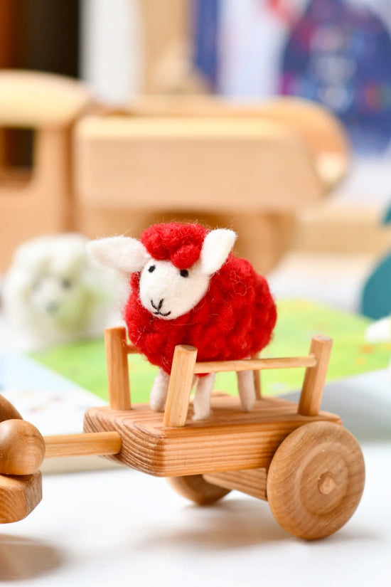 Red Wool Sheep