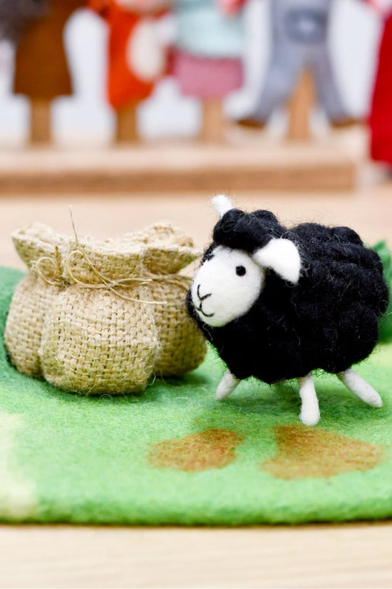 Black Wool Sheep