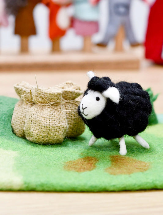 Black Wool Sheep
