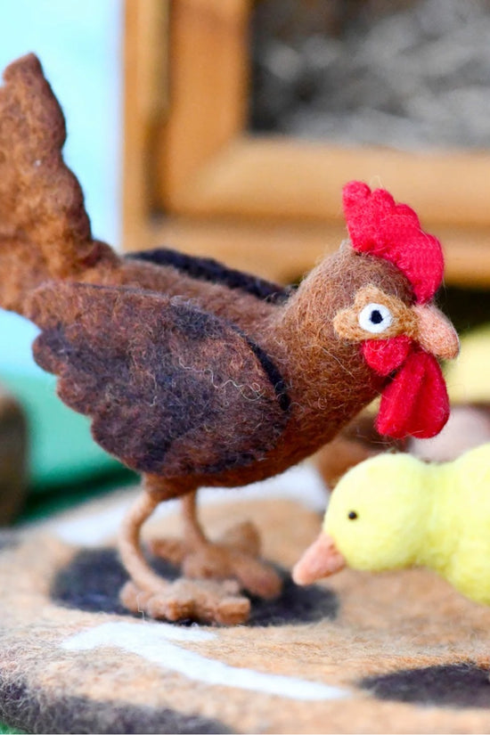 Wool Felt Chicken Life Cycle