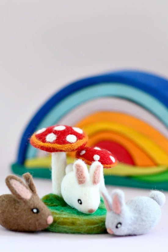 Organic Wool Red Toadstool Ornament