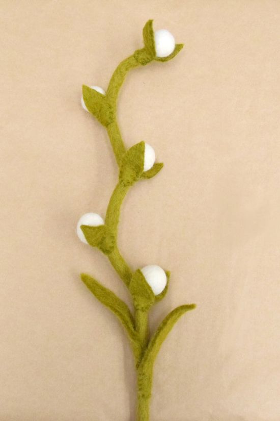 Billy Buttons Flower