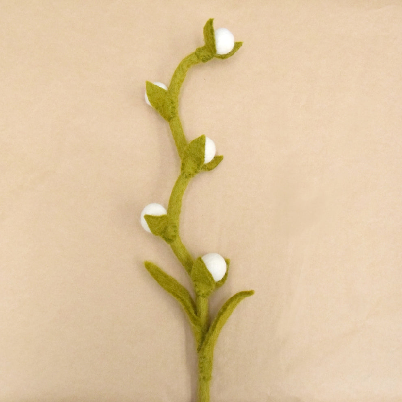 Billy Buttons Flower