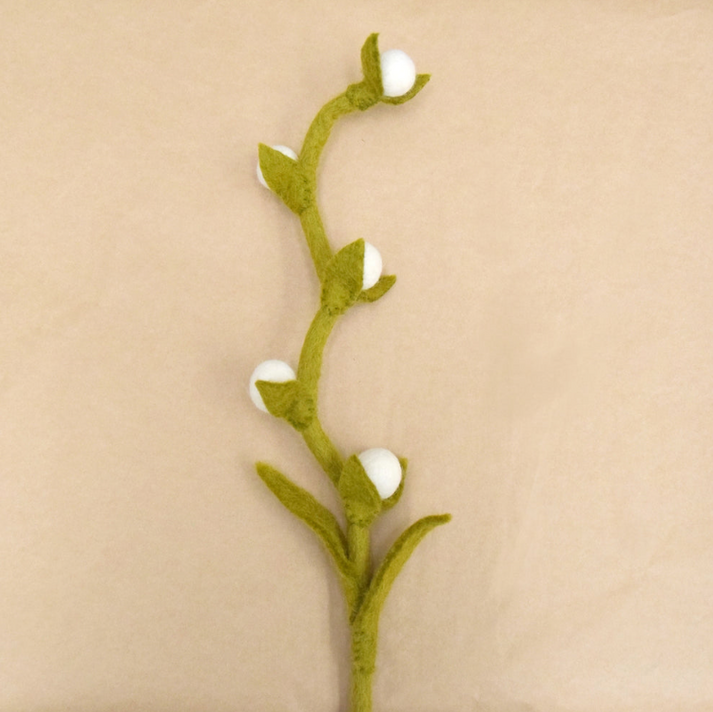 Billy Buttons Flower