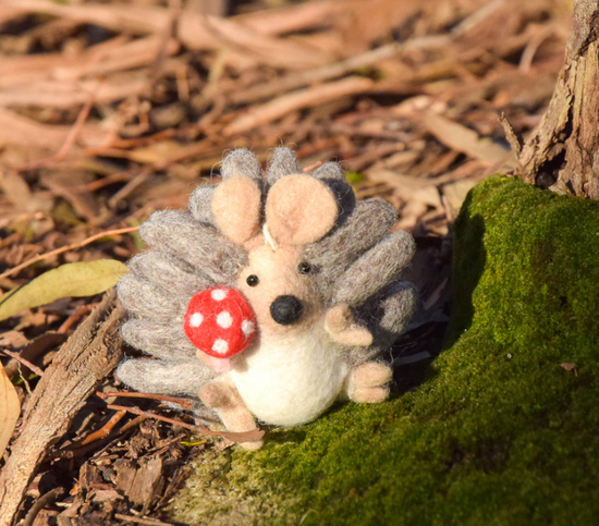 Cute Felt Hedgehog and Mushroom
