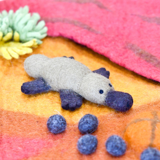 Wool Platypus Animal