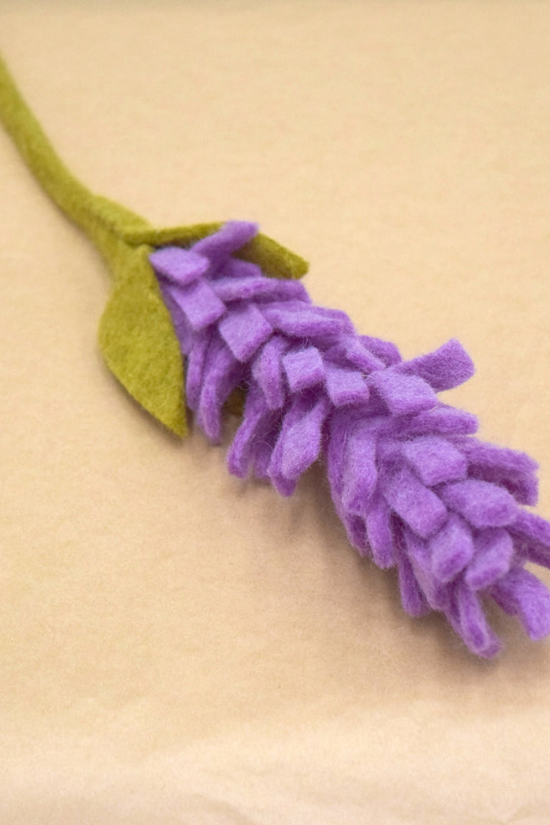 Purple Lavender Flower