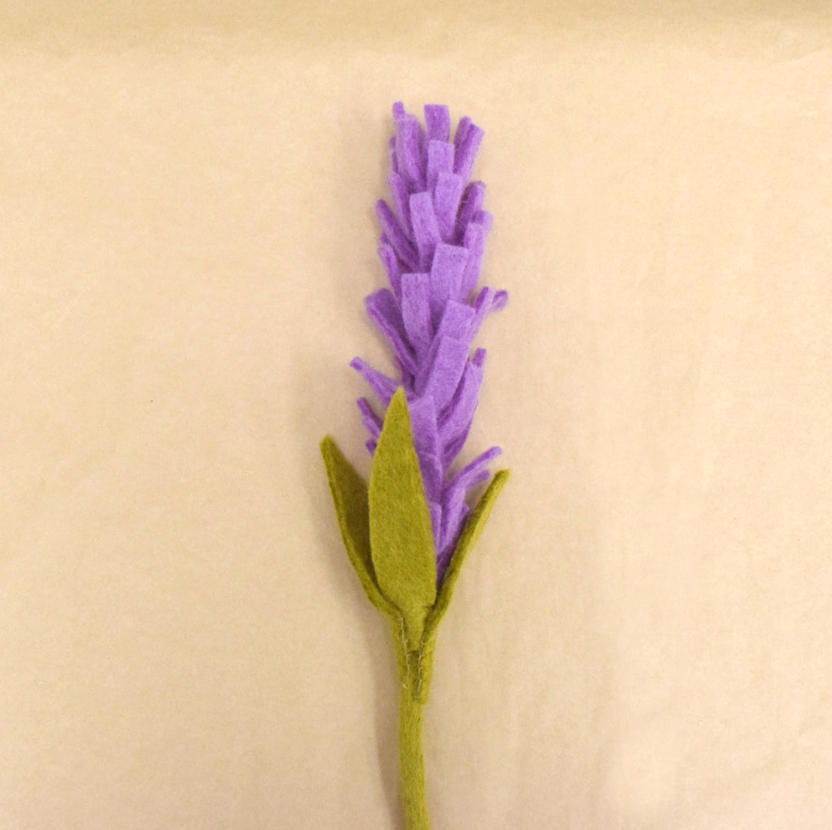 Flower - Purple Lavender