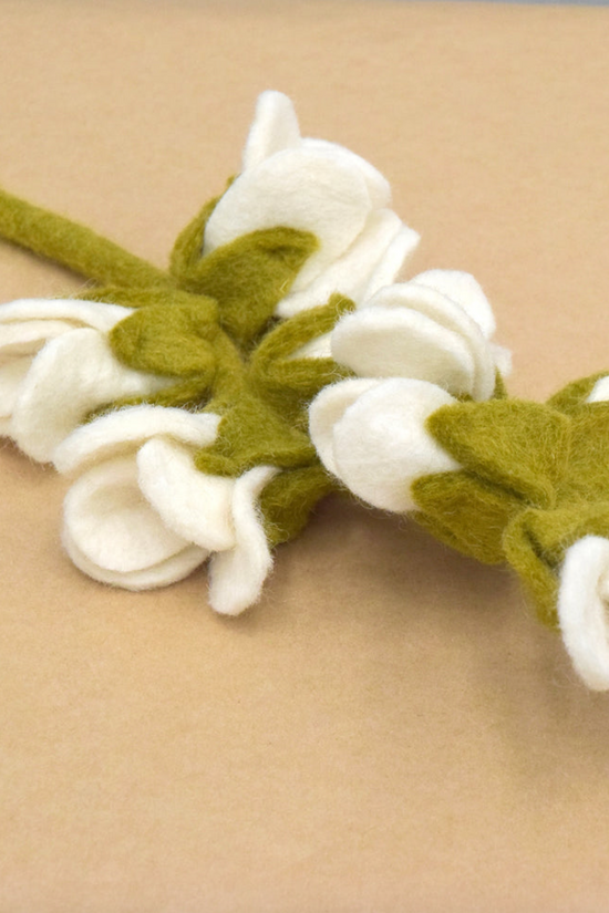 White Blossoms Flower