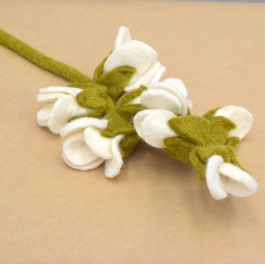 White Blossoms Flower