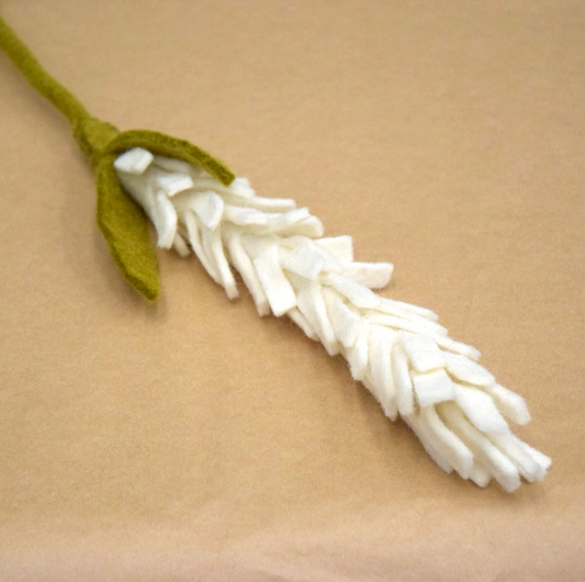 White Lavender Flower