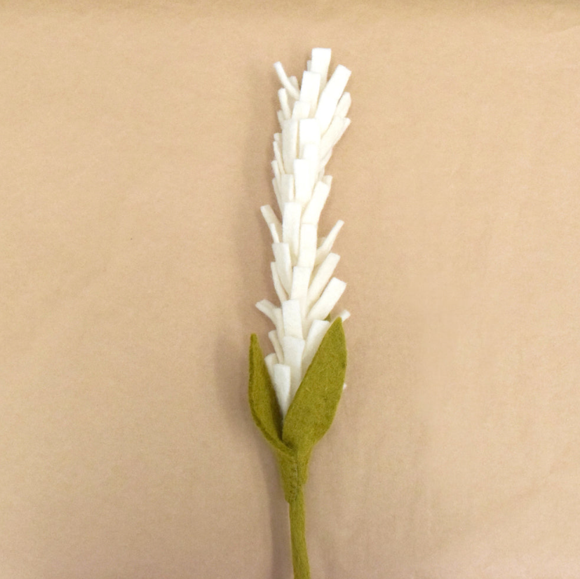 Flower - White Lavender