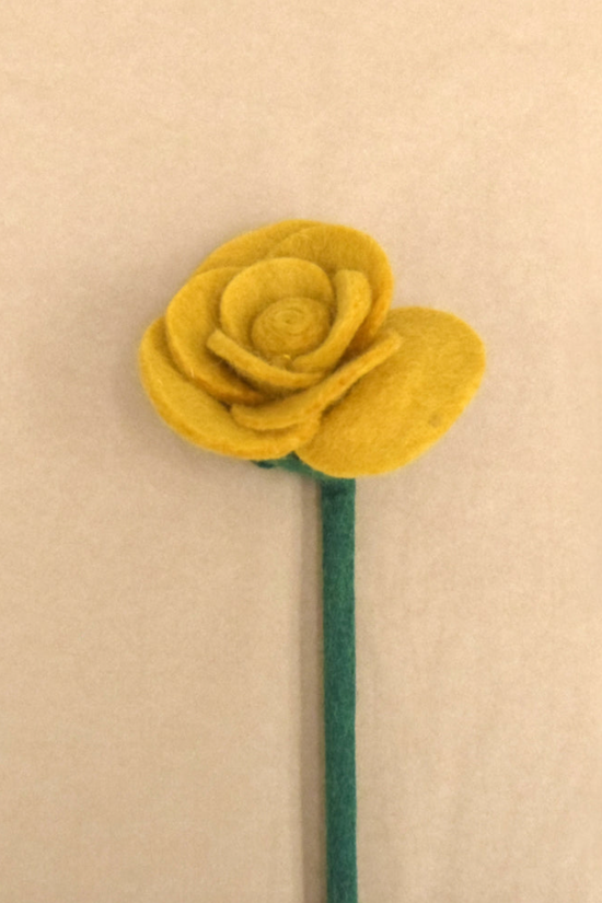 Yellow Rose Flower