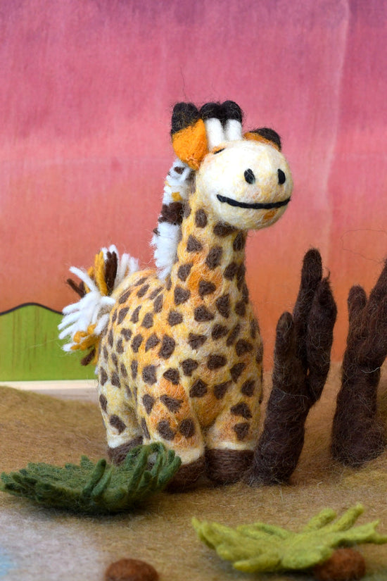 Family Gift Box Safari 