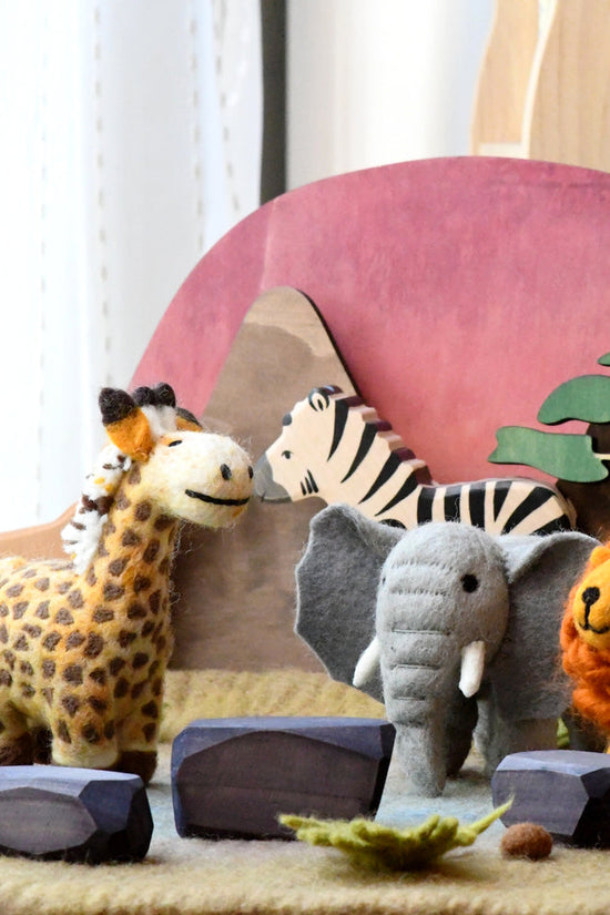 Animal Safari Gift Box